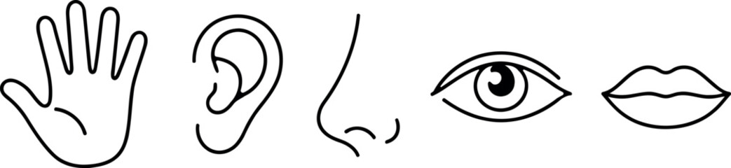 Human Five Senses Line Icons Set &ndash; Hand, Ear, Nose, Eye and Lips Outline Vector Illustration