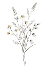 Obraz premium Minimal Neutral Wildflower Bouquet Watercolor Illustration Hand Painted Botanical PNG Isolated on Transparent Background