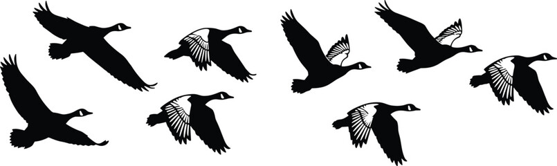 Flying geese silhouette collection in different wing positions, migratory birds in flight isolated on white background wildlife illustration set © Shahariar's World