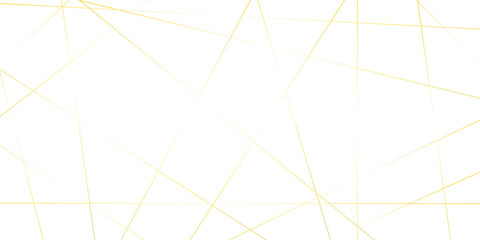 Fototapeta premium Abstract background with lines. White weave geometric golden lines. Abstract background vector Illustration . futuristic business.