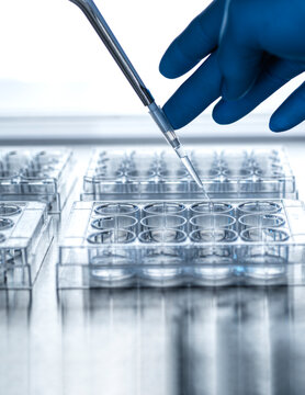 Hand of scientist pipetting sample into microplate