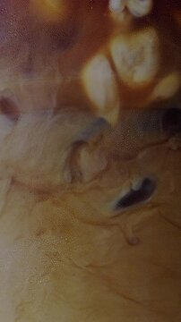4K vertical video Abstract close up of iced coffee with milk swirling in glass Creamy brown beverage texture with soft motion blur, minimal cafe drink background.