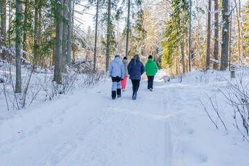 People in warm jackets and hats walk along a path among tall pine trees covered in snow. The scene conveys the tranquility of a winter holiday in the fresh air, surrounded by untouched nature.