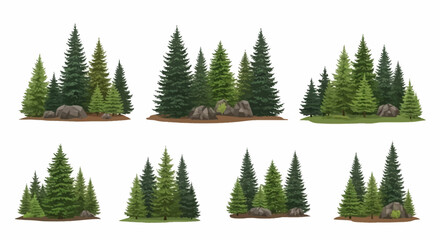 Obraz premium Evergreen forest landscape with pine trees and rocks