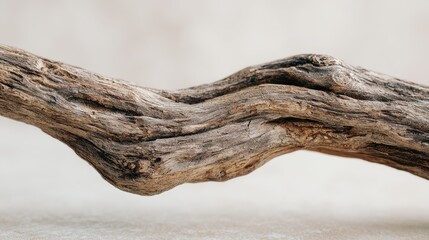 Close-up of an aged driftwood branch on a clean white surface, organic form and texture