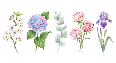 Obraz premium Watercolor Floral Clipart Set with Hydrangea, Roses, Iris and Eucalyptus