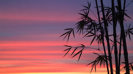 Obraz premium Silhouette of Bamboo Against a Vibrant Sunset Sky with Pink, Purple, and Orange Hues, Creating a Serene and Peaceful Asian-Inspired Landscape