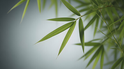 Fototapeta premium Elegant Bamboo Leaves Close-Up: Serene Green Foliage Against a Soft, Minimalist Background for Asian-Inspired Design