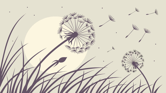 dandelion in the grass