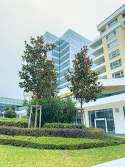 Trees stand beside a modern building with glass windows and a green area during a cloudy day in an urban setting
