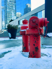 Two red fire hydrants stand in snow beside a modern building in a city downtown area during winter with tall glass structures in the background reflecting sunlight