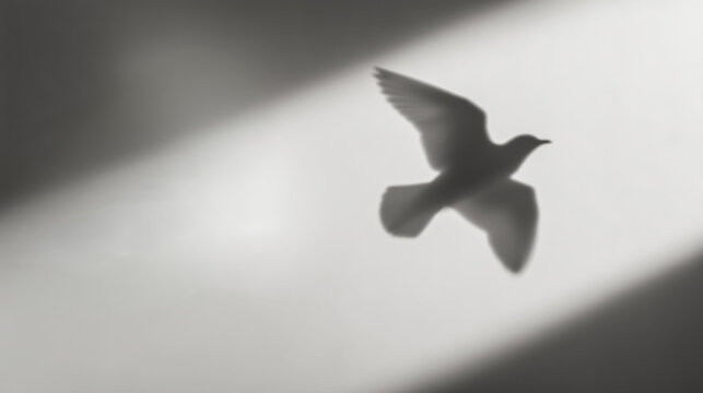 Bird flying in light symbolizing freedom and hope