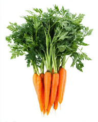 Fresh bunch of vibrant orange carrots with greens.