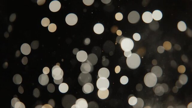 下から上へと立ち昇る希望の光の粒子ボケ動画