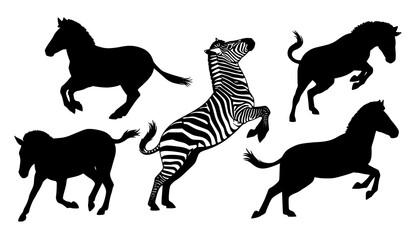Dynamic Zebra Silhouette Vector Illustration with Running and Jumping Wildlife Poses © Hanif
