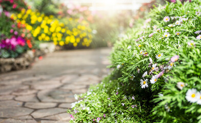 Spring flower garden with morning day light, spring nature background