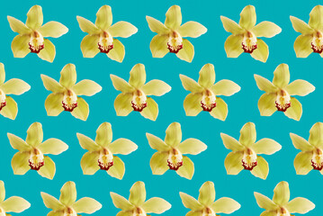 Modern Botanical Print