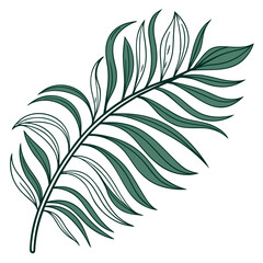 Summer palm leaf vector green plant, exotic nature set isolated on white background. Jungle illustration