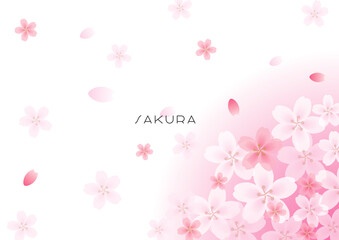 Obraz premium 右下に配置された美しい桜の花と、舞い上がる花びらのグラデーション。和風のメッセージカードや広告に最適なイラスト