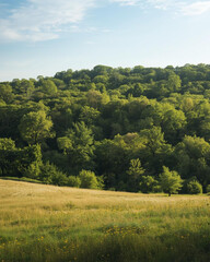 Fototapeta premium scenic rural landscape, countryside view, farm setting, park scenery, green fields, open meadow, natural landscape, peaceful countryside, rolling hills, farmland view, rustic environment, blue sky 