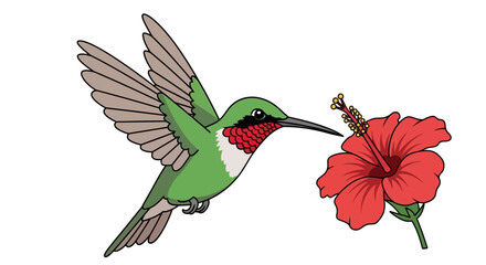 Fototapeta premium Vibrant Hummingbird Feeding on a Red Hibiscus Flower Delicate Wings in Motion Nature s Beauty