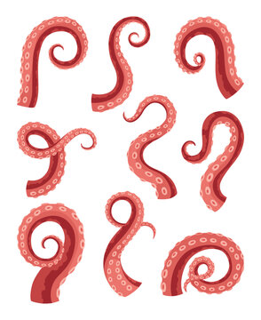 Octopus tentacles or sea squid icon set. Spooky marine monster arm on white background. Vector cartoon underwater animal