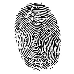 finger print vector