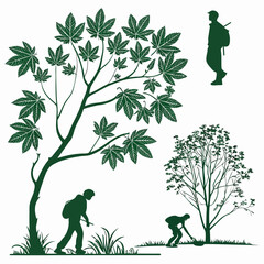 Comprehensive set of green leaf vector illustrations showcasing multiple leaf types, silhouettes, and natural forms in different proportions, minimal flat design, isolated on white.