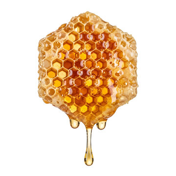 Delicate golden honeycomb with dripping amber honey from a hanging beehive isolated on transparent background