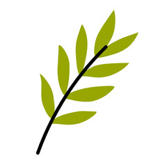 Fototapeta premium Botanical Leaf in Flat Style for Natural Wellness Theme