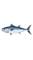 Fototapeta premium Bluefin Tuna Fish Illustration Isolated 1.