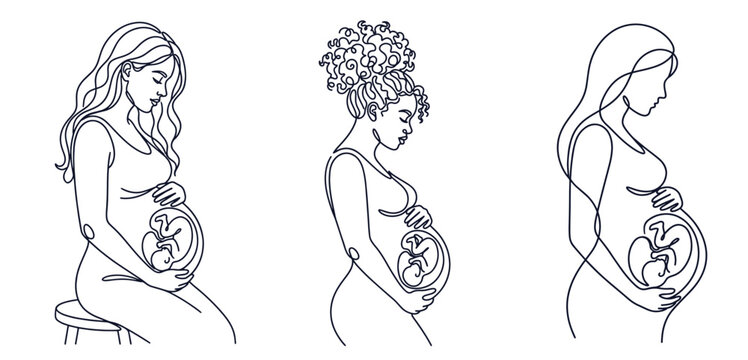 Pregnant women silhouettes continuous one line drawing. Minimalist vector outline illustration of expectant mothers with fetus inside womb.