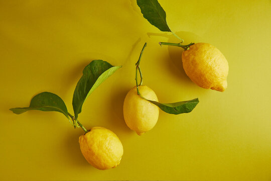 Fresh lemons with vibrant leaves on yellow background