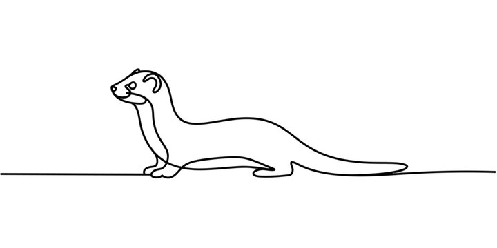 Single continuous line drawing of a ferret standing on a horizontal line in minimalist style