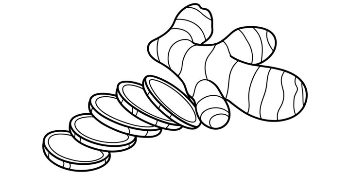 A black and white line drawing of a fresh ginger root with several circular slices next to it.