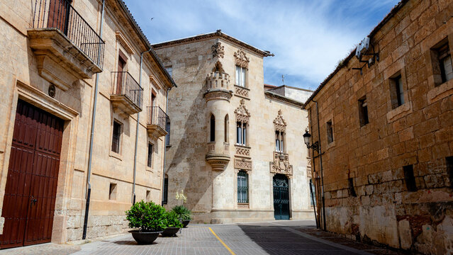 Historic street with Palacio de la Marquesa de Cartago