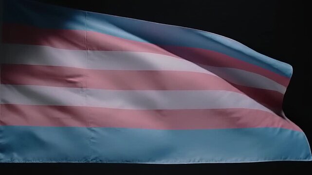 Transgender flag waving on black background.