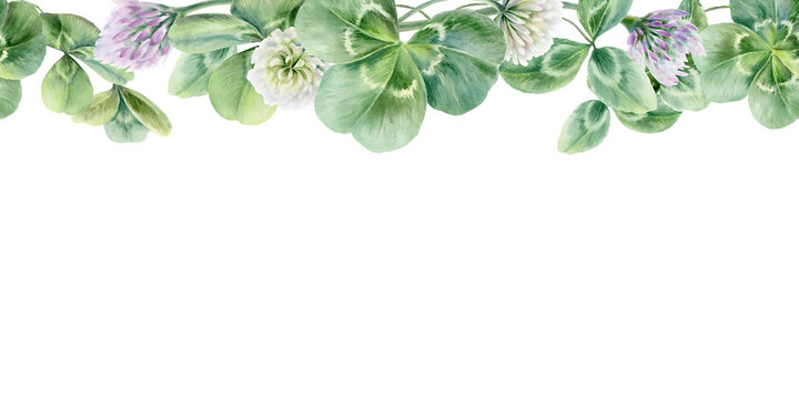 Seamless border of white and lilac clover flowers and leaves,symbolizing bloom,new life,and luck for newlyweds.Soft watercolor for wedding decor,invites,joyful seasonal festive