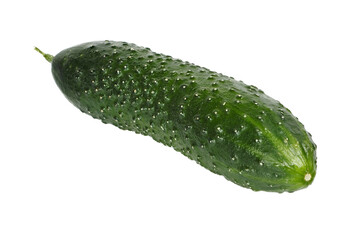 Cucumber on White