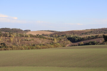 Obraz premium Minimal rolling green fields with distant hills under clear sky