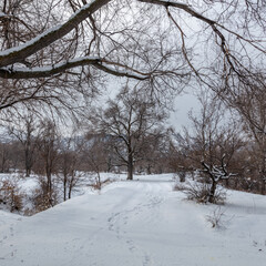 Fototapeta premium Landcsape, mountain, river, city, winter, snow, stream, alps.