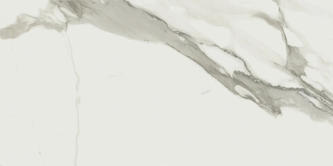 Polished gray marble. Real natural marble stone texture and surface background. © maria