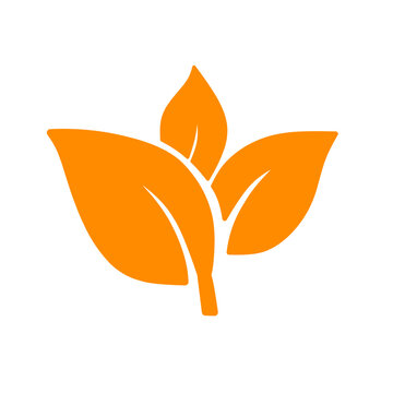 orange leaf vector illustration
