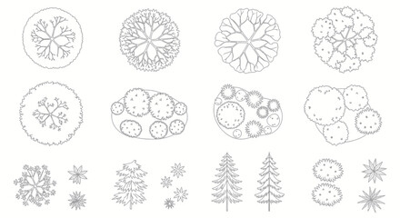 Top View Tree Icons Set - Vector Line Art - Nature Elements for Architecture Design © anis