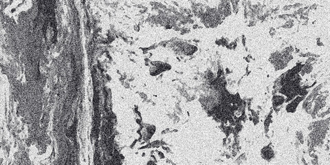 Obraz premium Grayscale textured abstract background with organic fluid-like shapes and a prominent vertical striated element with granular noise