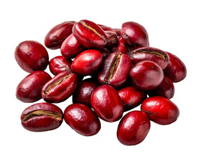Obraz premium Coffee beans in ripe red color showing fresh harvest from plantations in a sunny environment