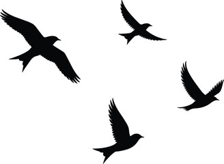 Obraz premium Flying bird silhouette collection, small birds in flight poses, freedom wildlife nature concept, black shapes isolated on white background