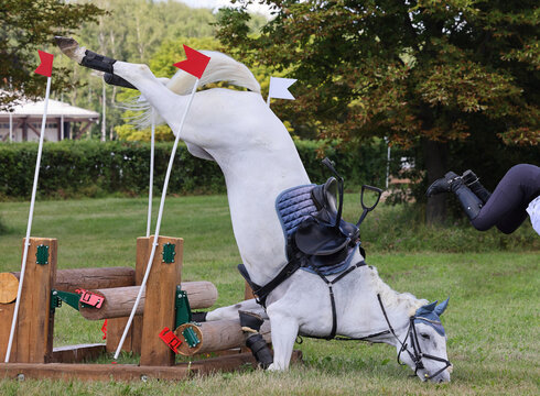 Incident during a sports horseback jumper competition. Rider is not identifiable 