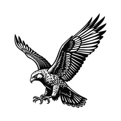 Obraz premium Detailed Silhouette of a Soaring Eagle bird flying