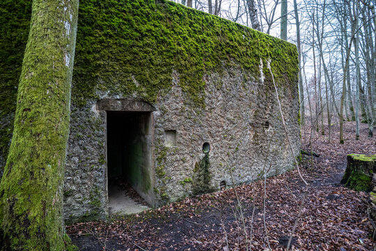 Massive Nazi Bunker in Mamerki (Mauerwald) Complex, Poland